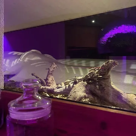 Lärchenhof Hotel 4*