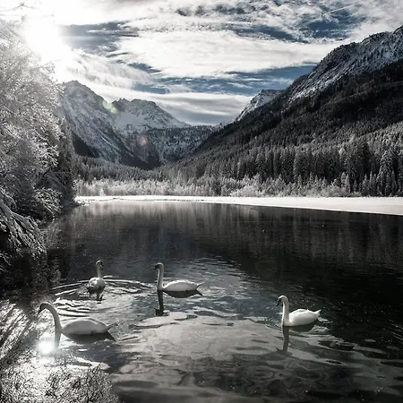 ホテル Laerchenhof