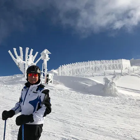 Laerchenhof ホテル 4*