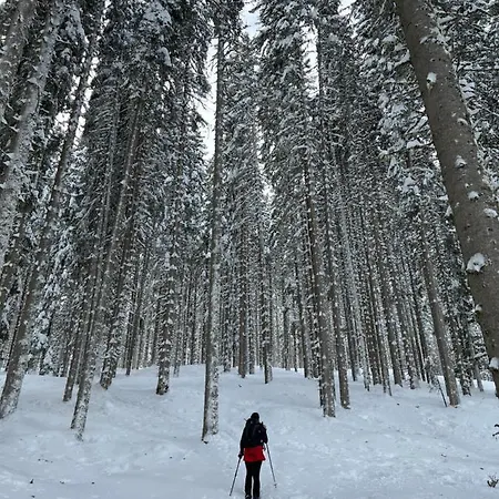 Hotel Lärchenhof Kleinarl