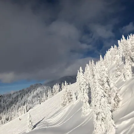 ホテル Laerchenhof