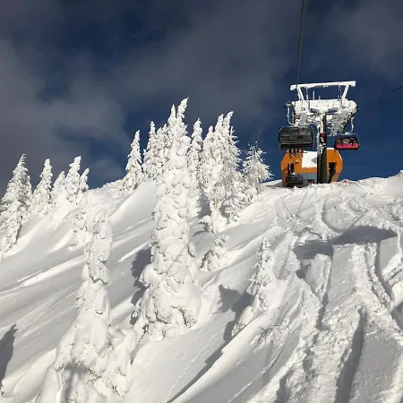 Hotel Lärchenhof Kleinarl