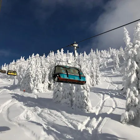 ホテル Laerchenhof 4*