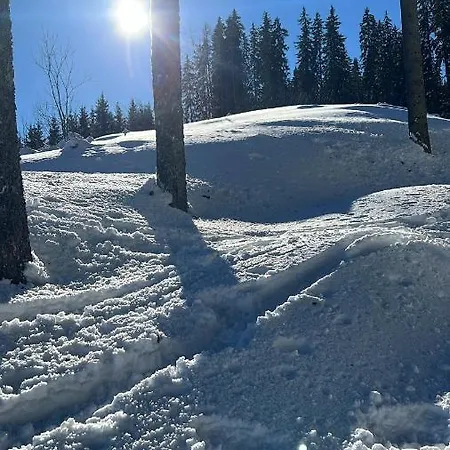 Hotel Lärchenhof 4*