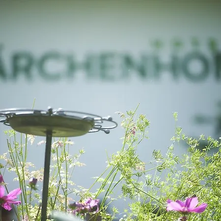 Hotell Laerchenhof