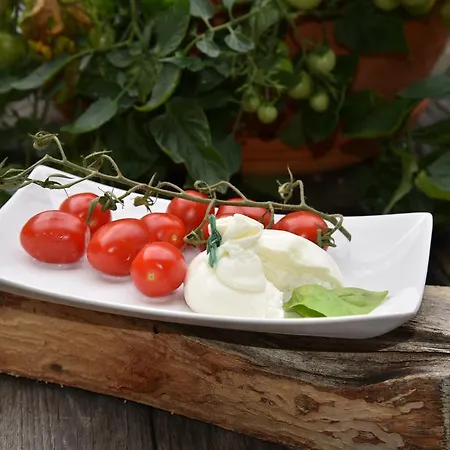 ホテル Laerchenhof クライナル