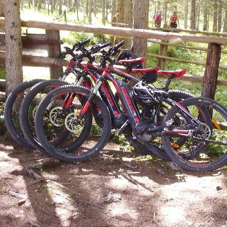 Hotel Lärchenhof 4*