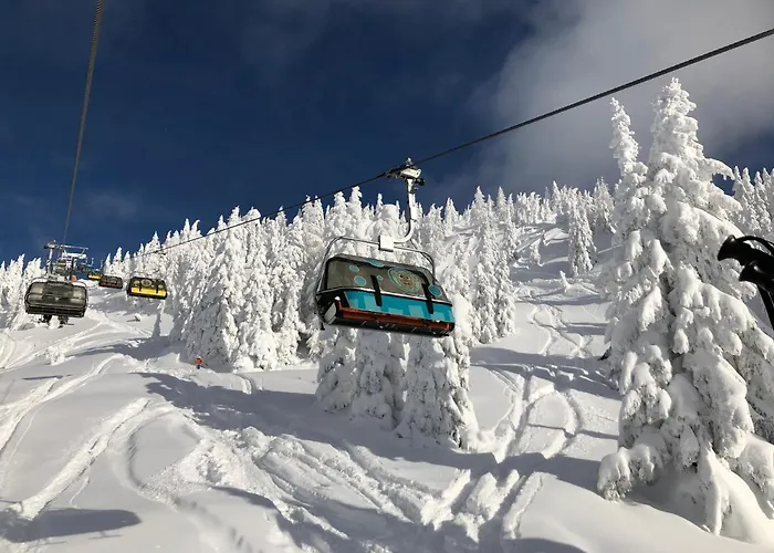 ホテル Laerchenhof 4*